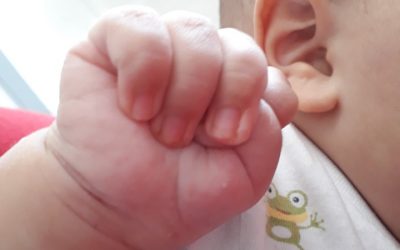 Aiutiamo Filippo a trovare il suo gemello genetico