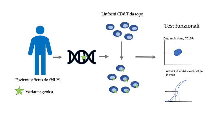 Un nuovo approccio all’analisi di varianti germinali predice le conseguenze funzionali di mutazioni di significato incerto