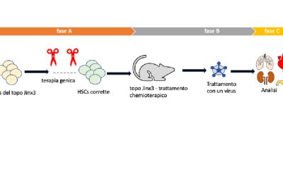 Nuovo progresso della terapia genica nella cura della HLH familiare